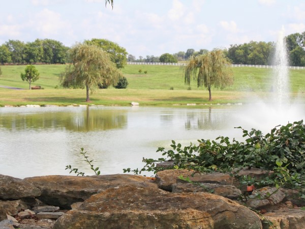 Rock Springs pond with fountain
