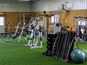 Whippy Barn Gym - The Rodeo