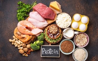 Increase Protein and Fiber