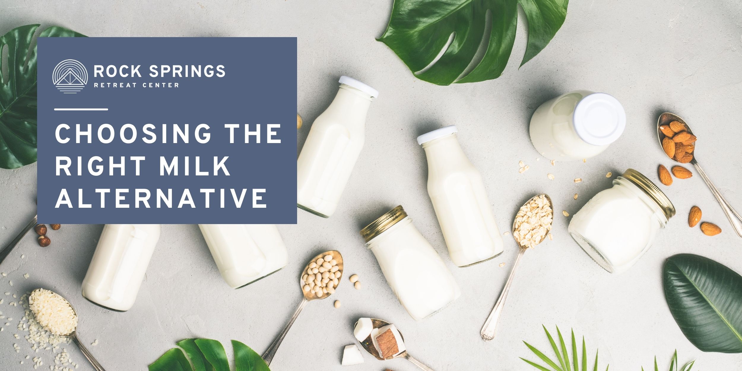 Choosing the Right Milk Alternative