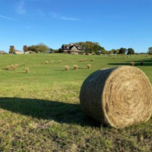 Hay Bales Property View at Fit Farm