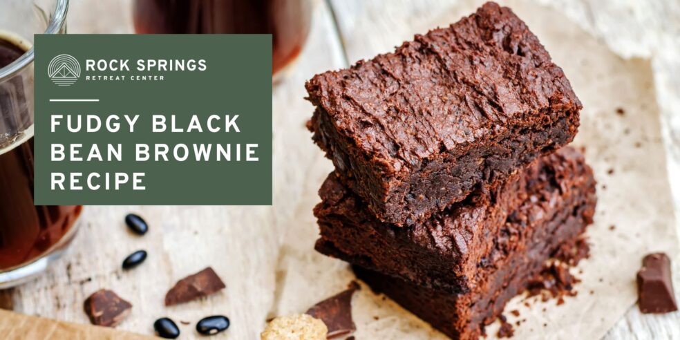 Fudgy Black Bean Brownie Recipe